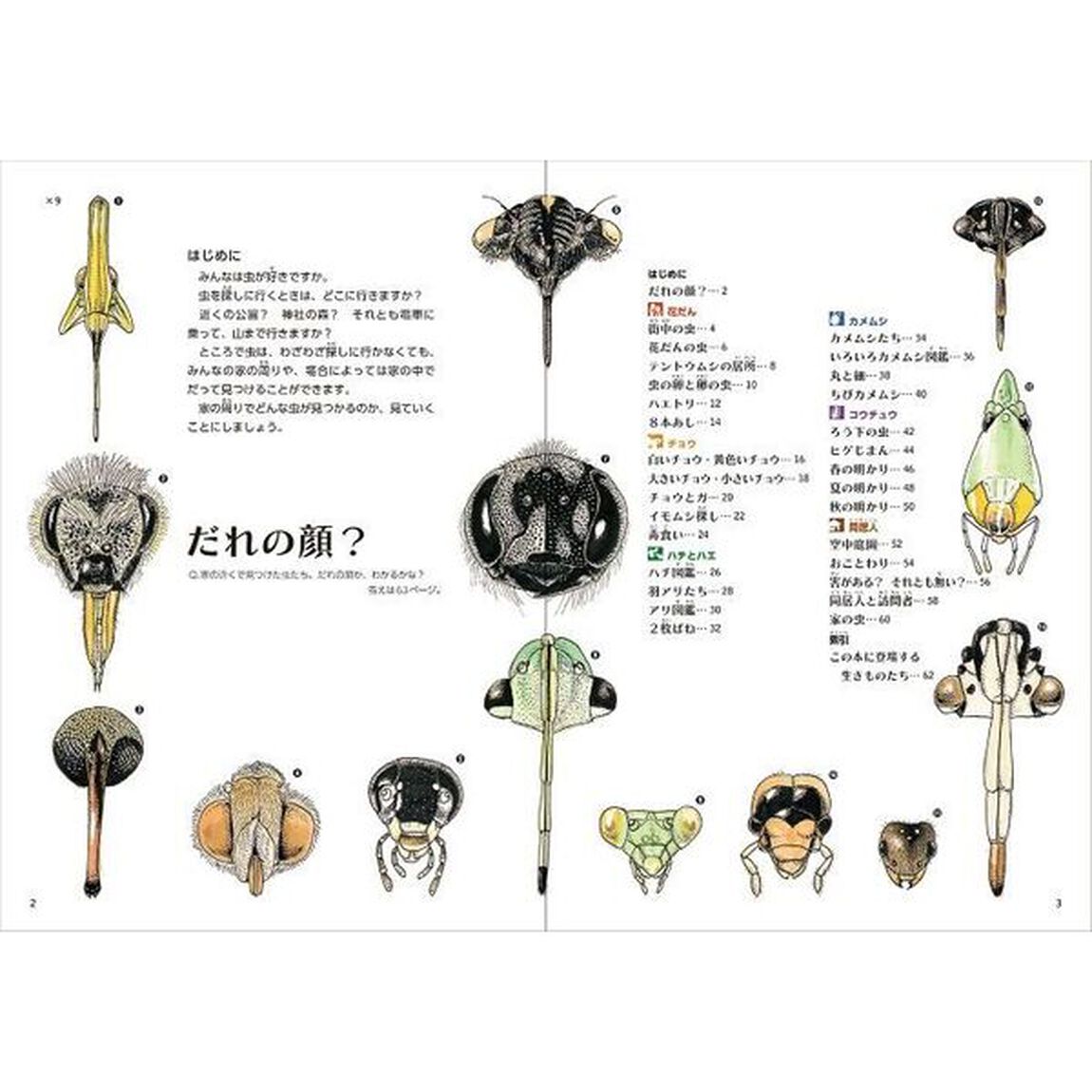 人とくらす街の虫発見記　ゲッチョ先生の街の虫コレクション