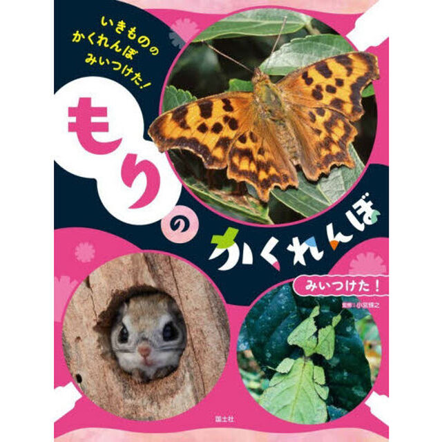 いきもののかくれんぼみいつけた！　〔２〕「もりのかくれんぼみいつけた！」