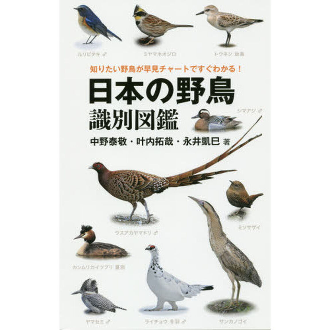 日本の野鳥識別図鑑　知りたい野鳥が早見チャートですぐわかる！