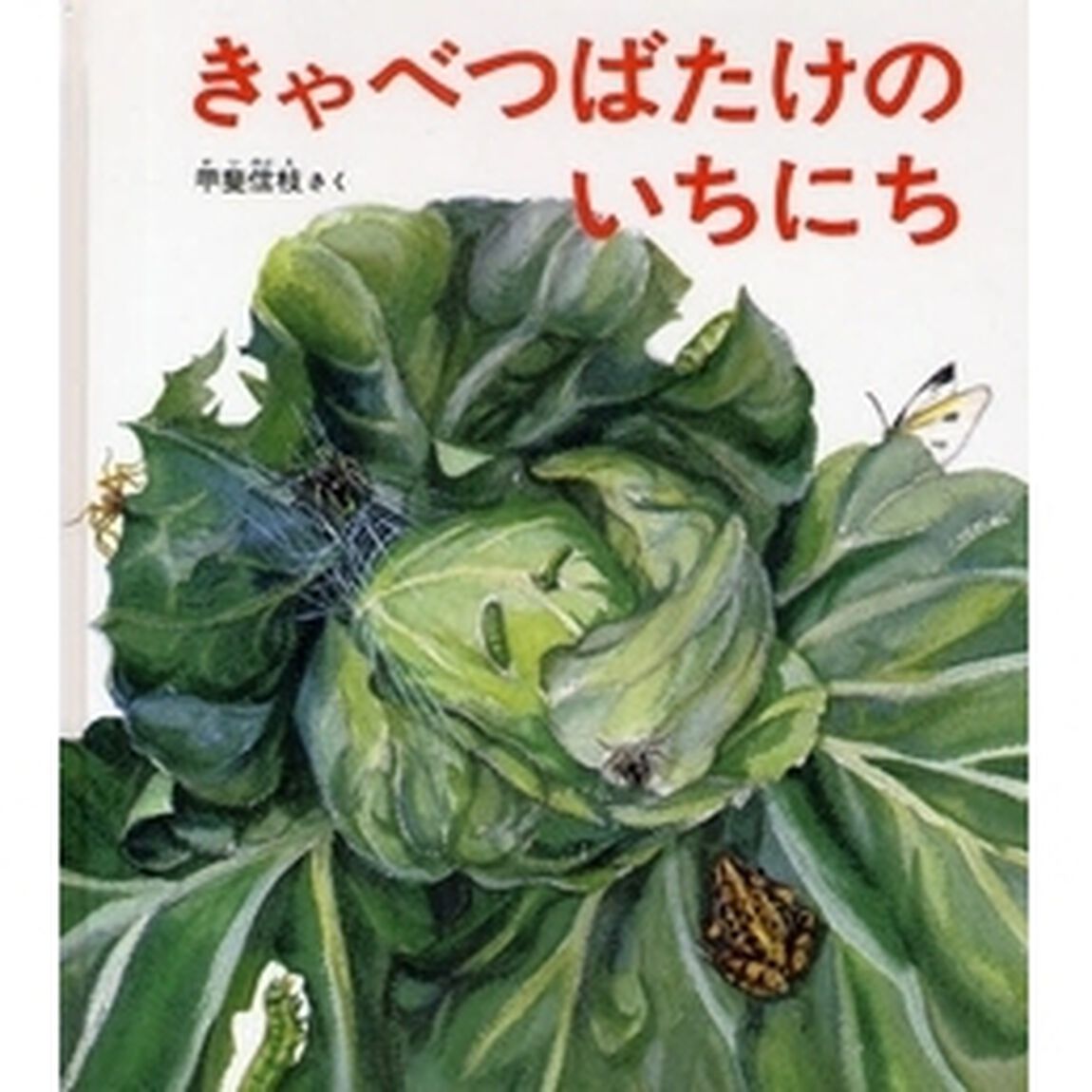 きゃべつばたけのいちにち