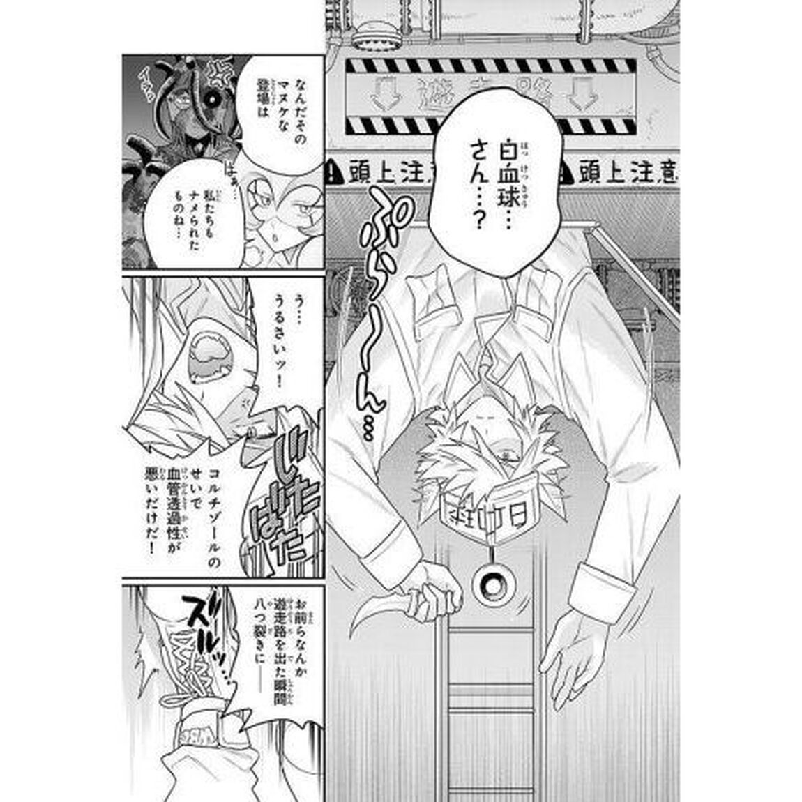 はたらく細胞猫　２
