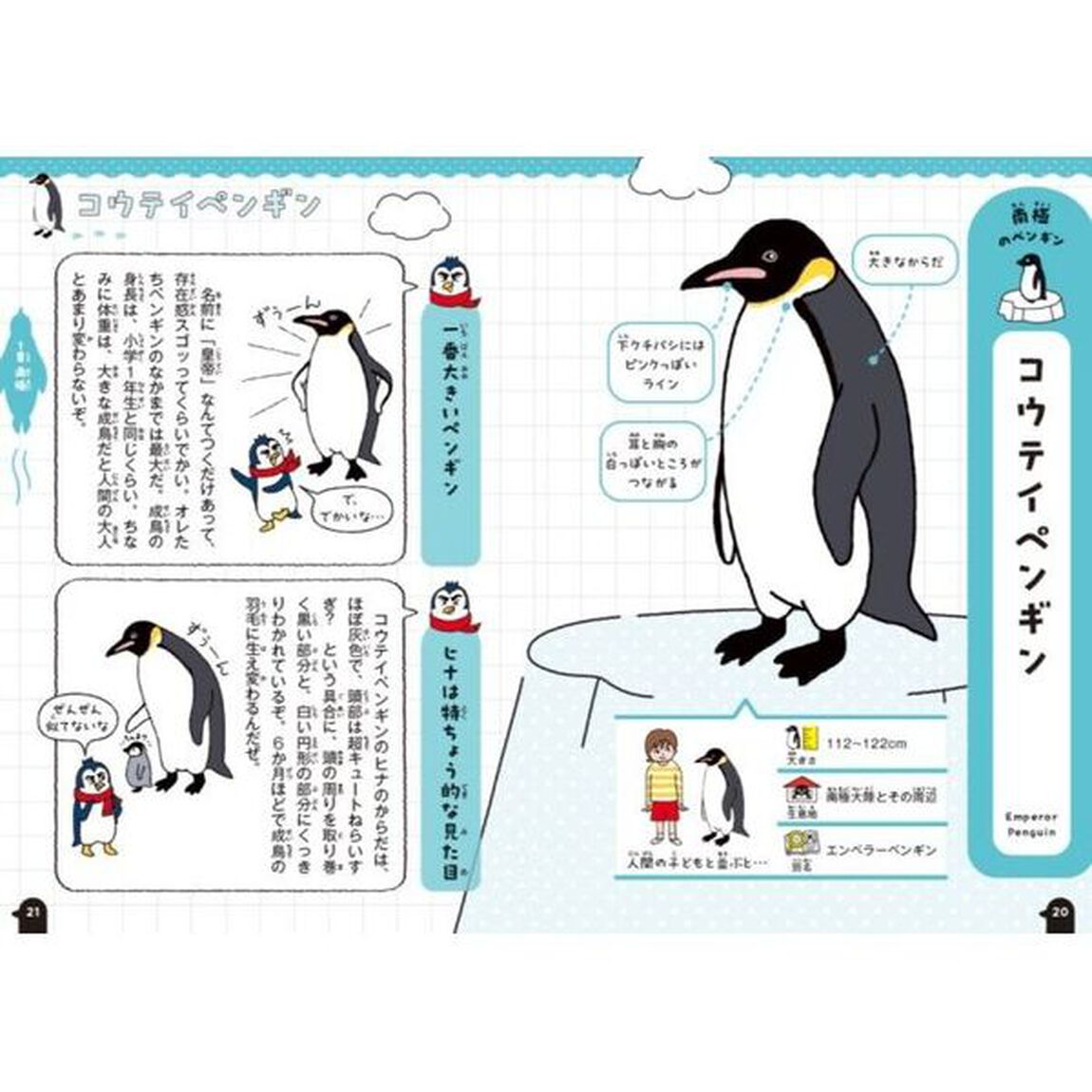聞かせて！ペンギン先パイ