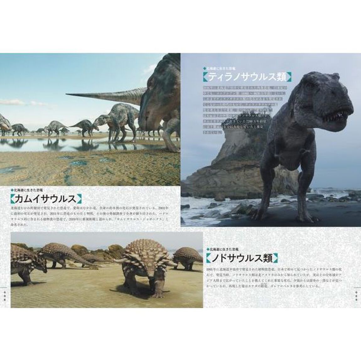 ＮＨＫスペシャル恐竜超世界ＩＮ　ＪＡＰＡＮ