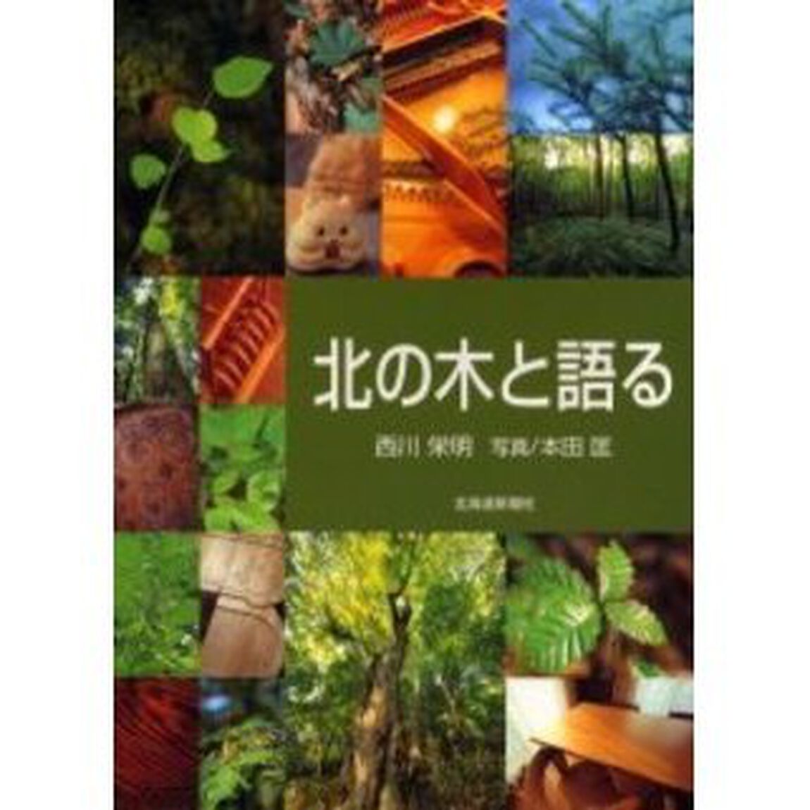 北の木と語る