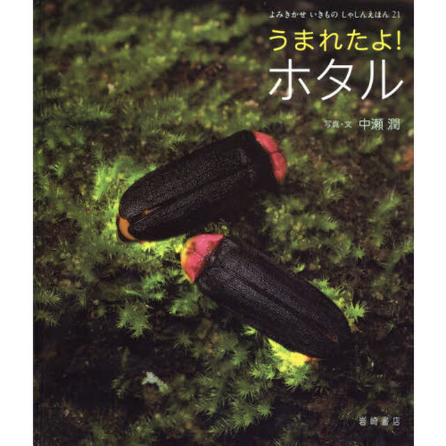 うまれたよ！ホタル