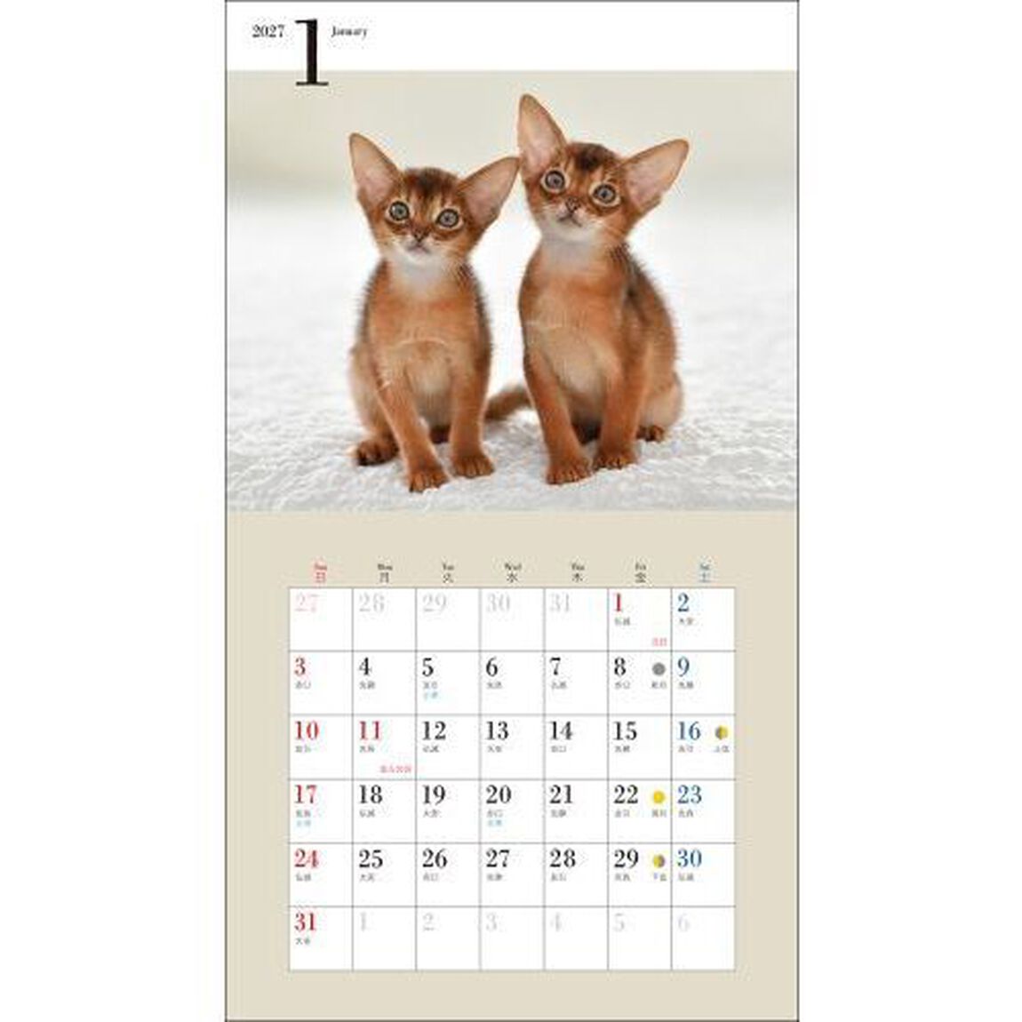 &rsquo;２７　カレンダーかわいいこねこ