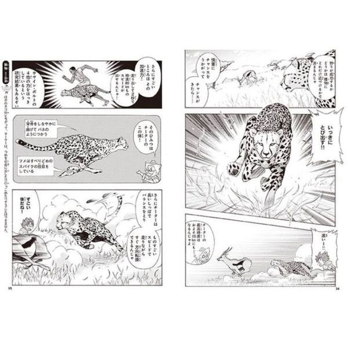 動物のふしぎ　１「いざサバンナへ出発！の巻」