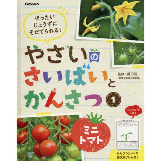 やさいのさいばいとかんさつ　ぜったいじょうずにそだてられる！　１「ミニトマト」