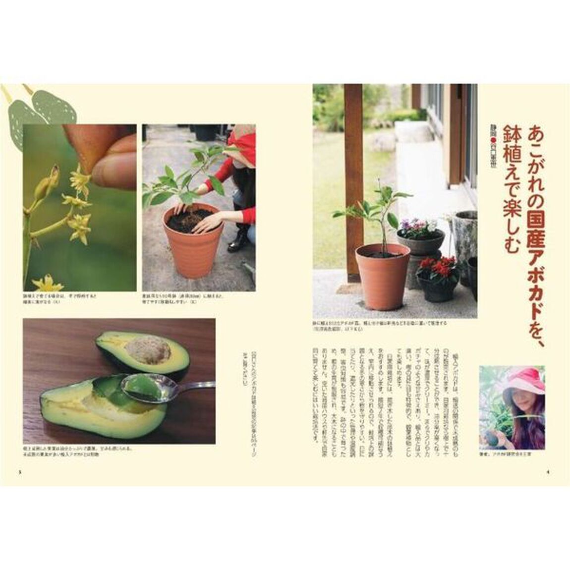 農家が教える庭先果樹のコツと裏ワザ　多品種接ぎ木、半年で実がなる鉢植え、せん定３つの法則