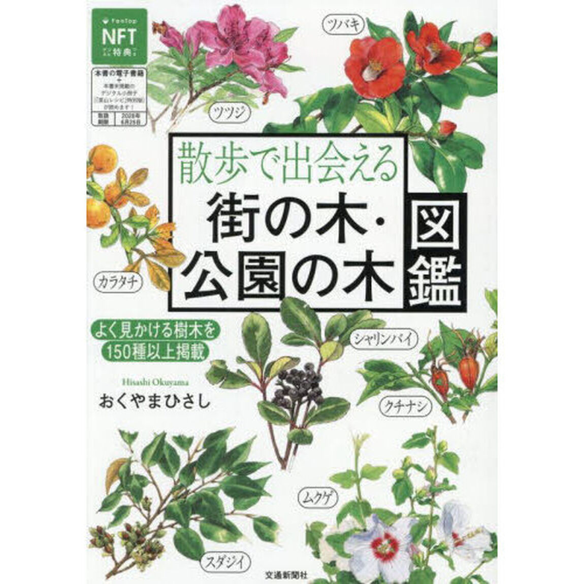 散歩で出会える街の木・公園の木図鑑