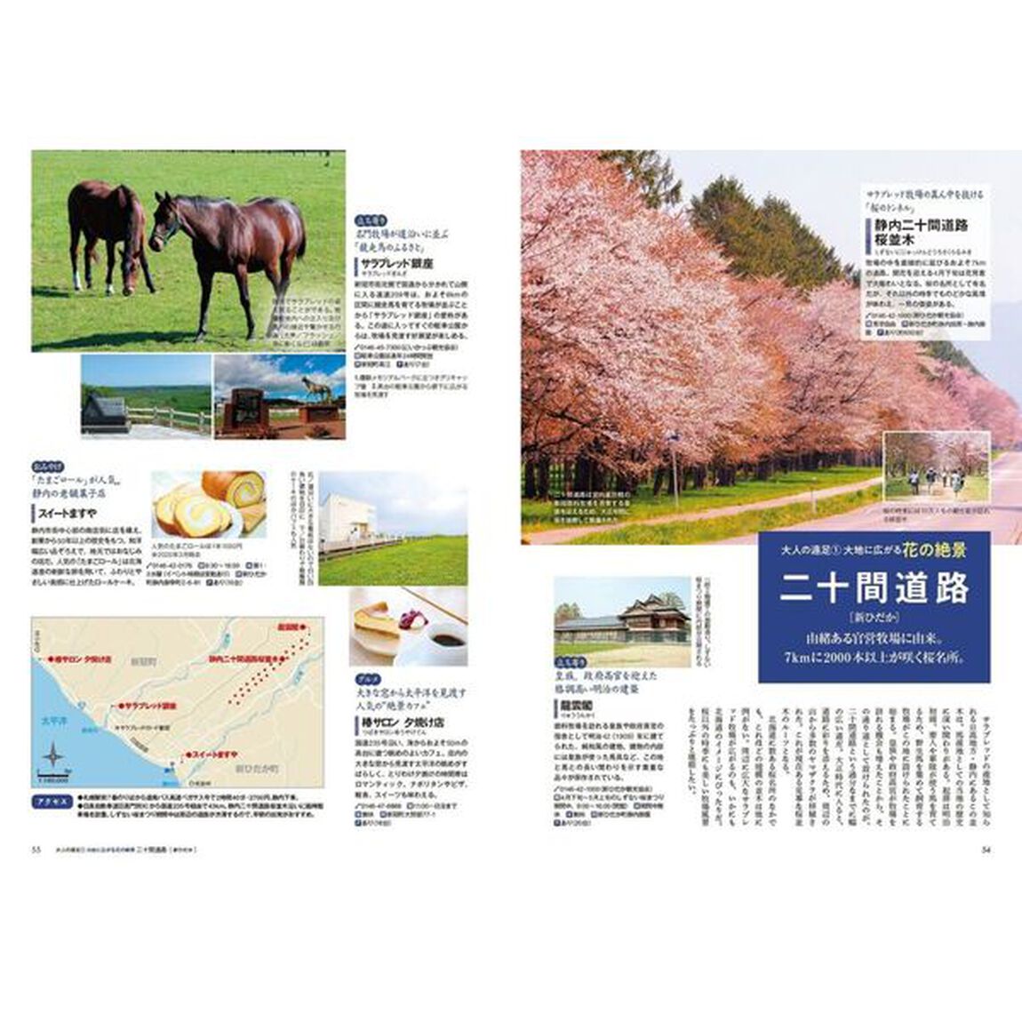 札幌特別編集版日帰り大人の小さな旅　〔２０２５〕