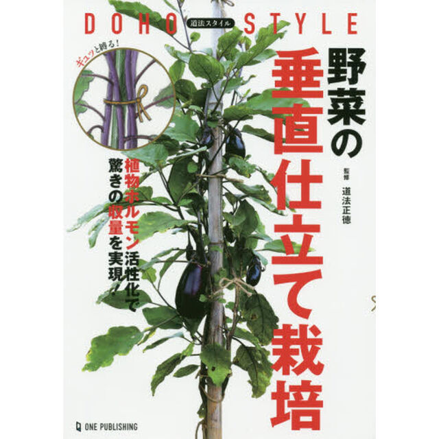 野菜の垂直仕立て栽培　道法スタイル　植物ホルモン活性化で驚きの収量を実現！