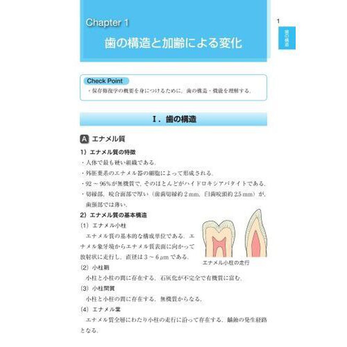 歯科国試パーフェクトマスター保存修復学「第２版」