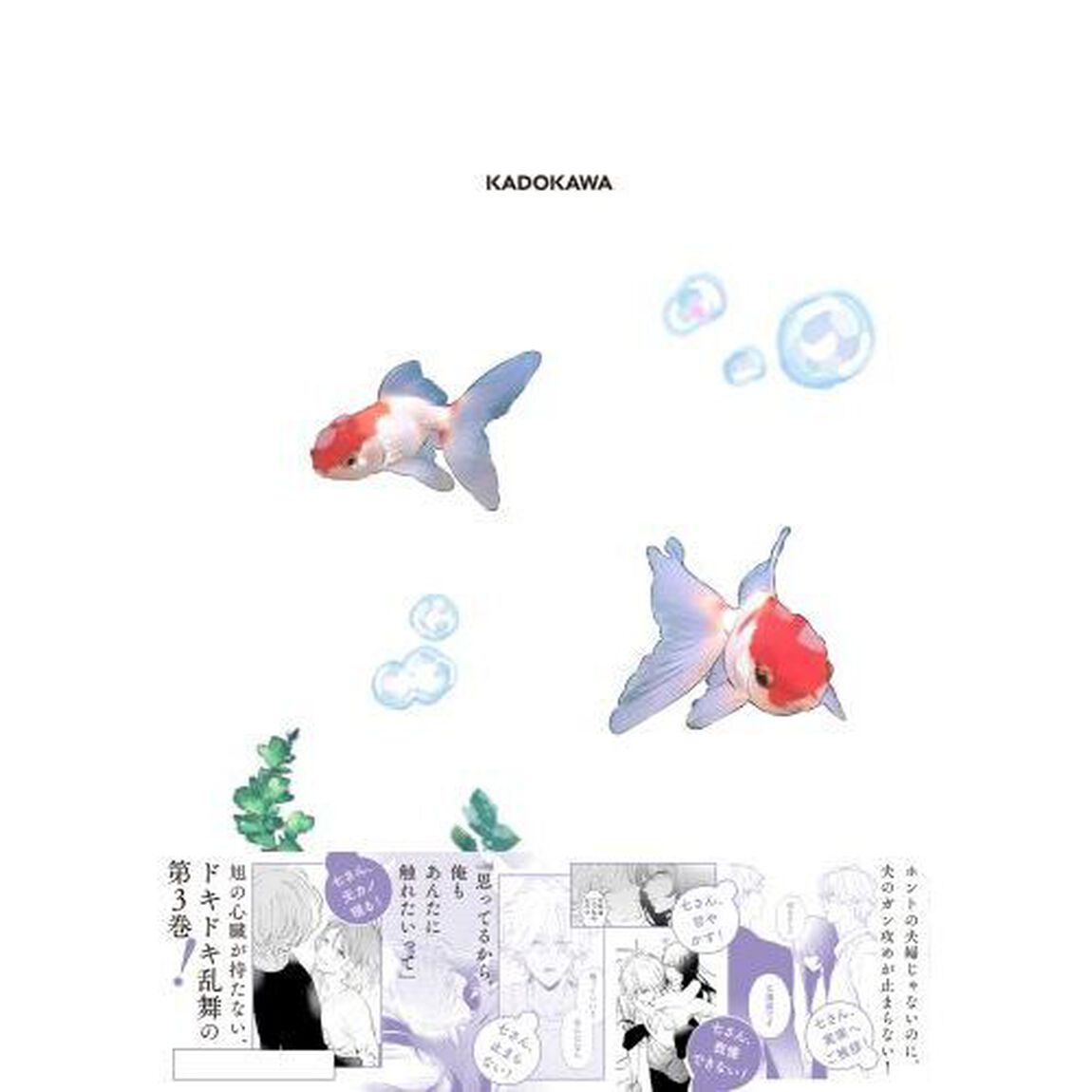 金魚屋さんのかりそめ夫婦　３