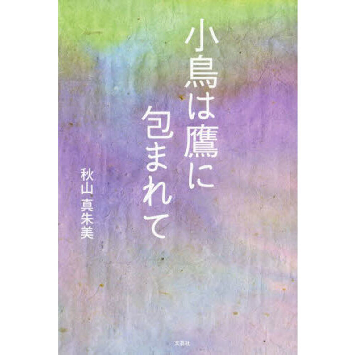 小鳥は鷹に包まれて