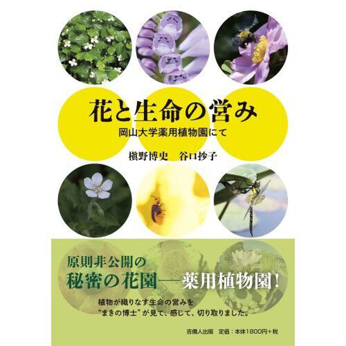 花と生命の営み　岡山大学薬用植物園にて