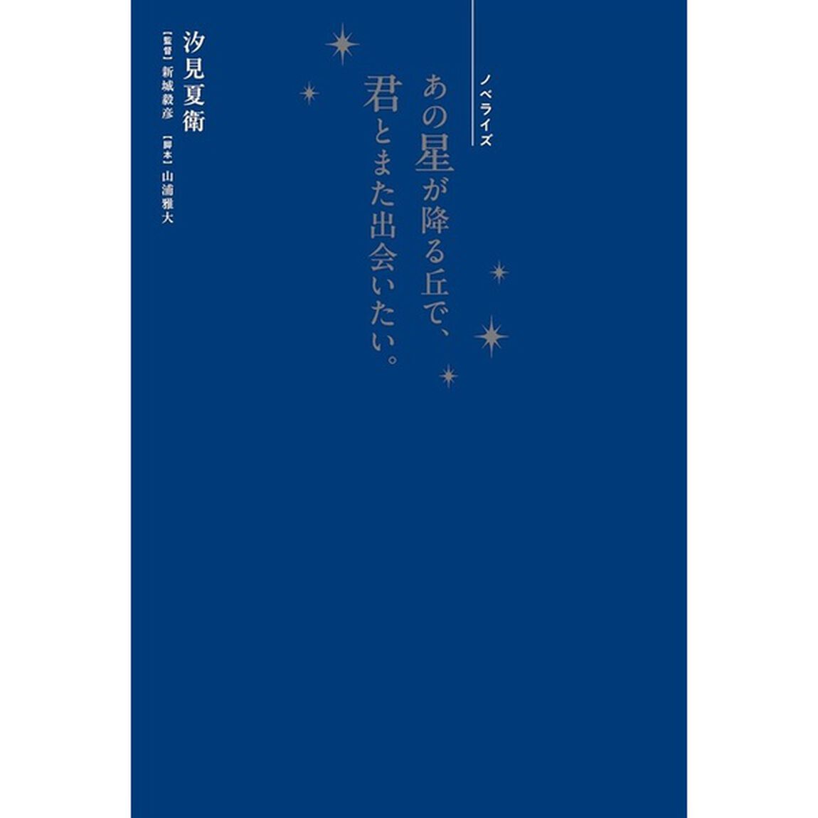 あの星が降る丘で、君とまた出会いたい。 ノベライズ
