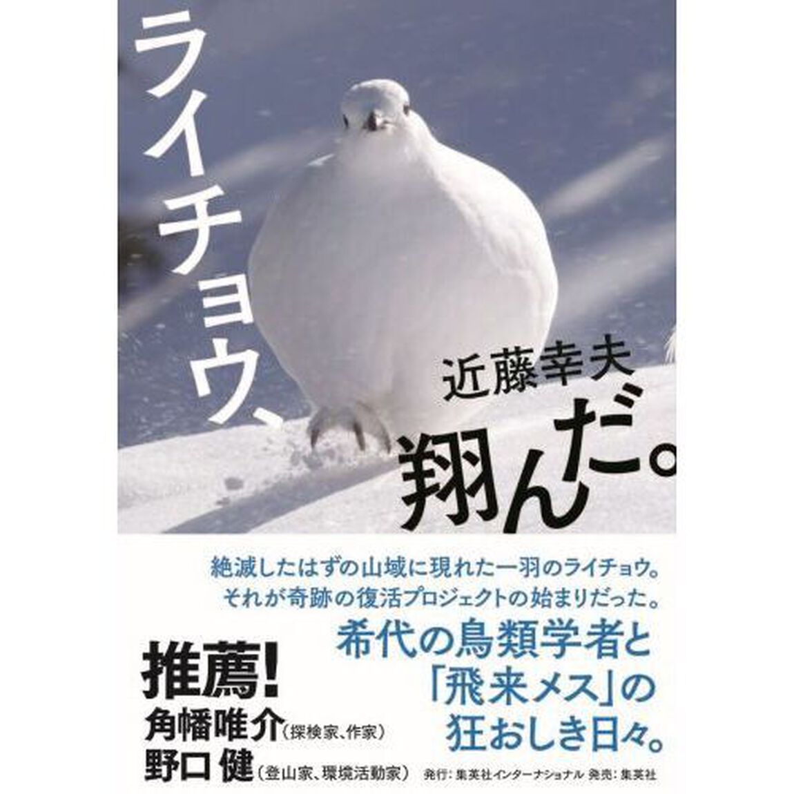 ライチョウ、翔んだ。