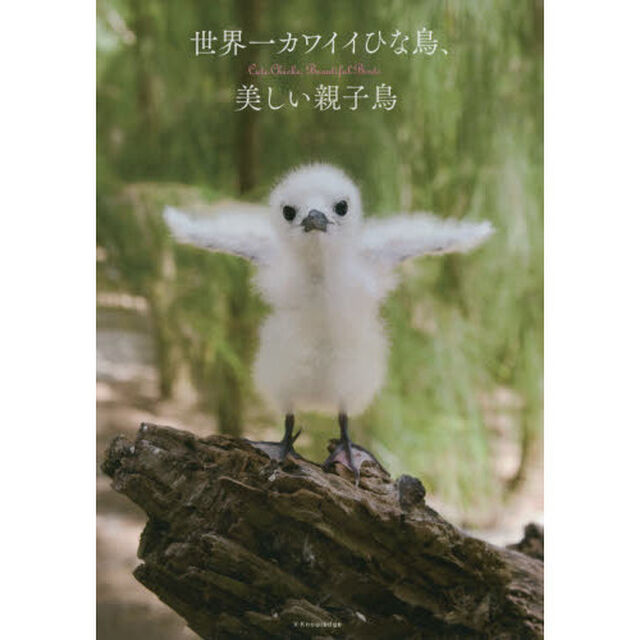 世界一カワイイひな鳥、美しい親子鳥