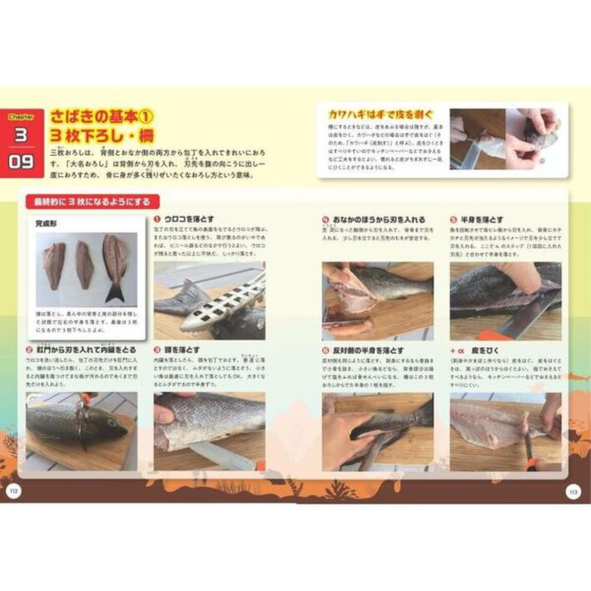 小学生でも安心！「海釣り」と「魚料理」きほんＢＯＯＫ　生態から食べ方までまるごと学ぼう