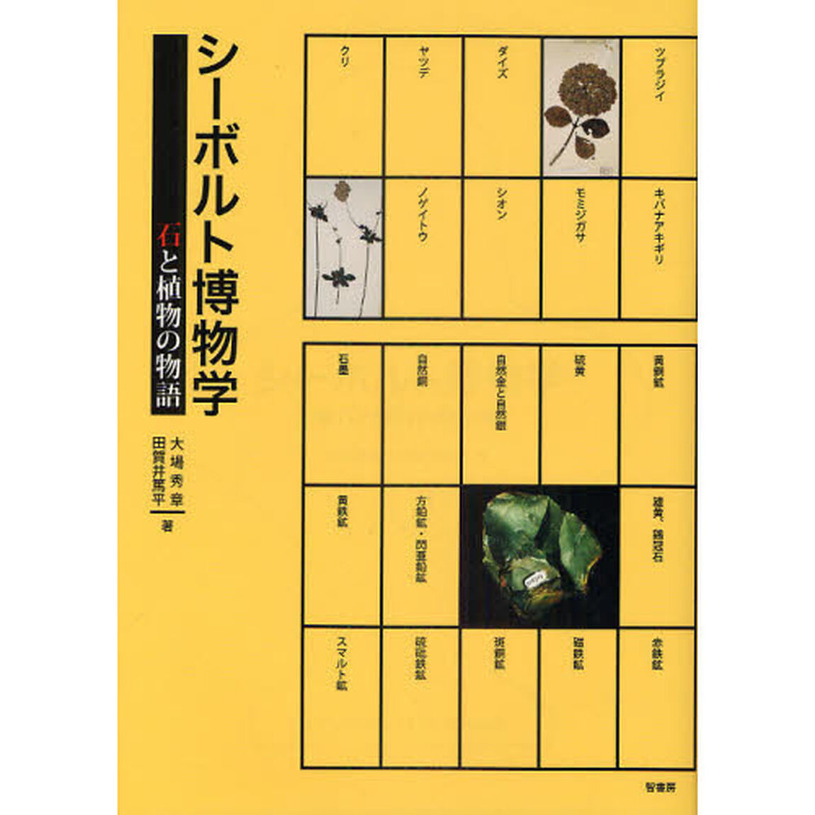 シーボルト博物学　石と植物の物語