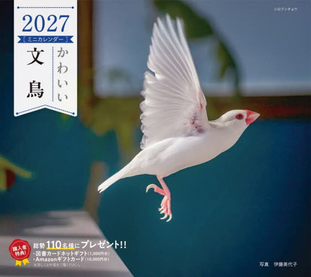 &rsquo;２７　カレンダーかわいい文鳥