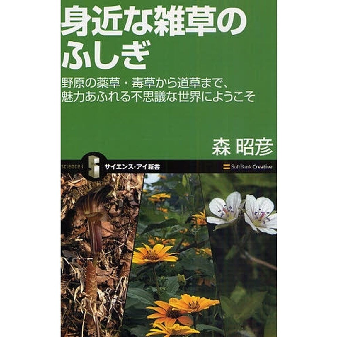身近な雑草のふしぎ　野原の薬草・毒草から道草まで、魅力あふれる不思議な世界にようこそ