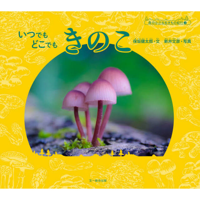 いつでもどこでもきのこ