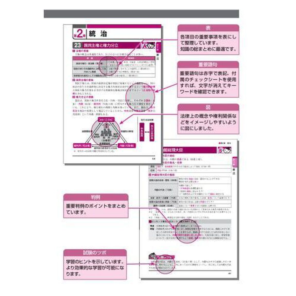 出る順行政書士最重要論点２５０　２０２４年版