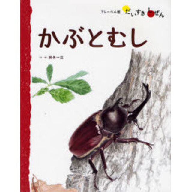 かぶとむし