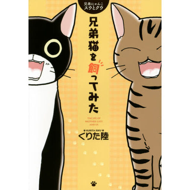 兄弟猫を飼ってみた