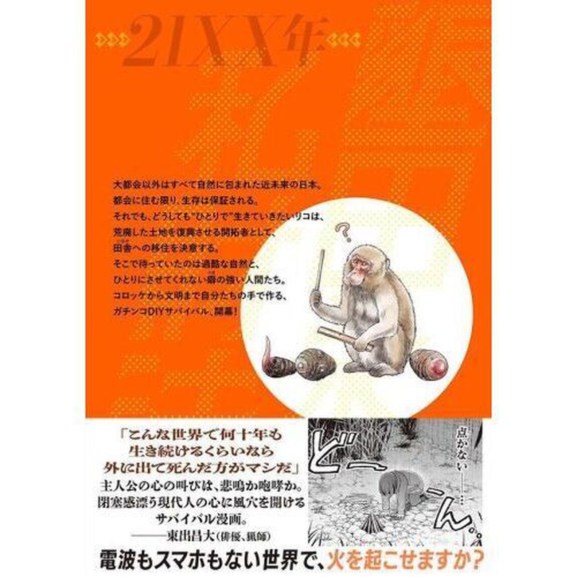 ２１ＸＸ年墾田永年私財法　１