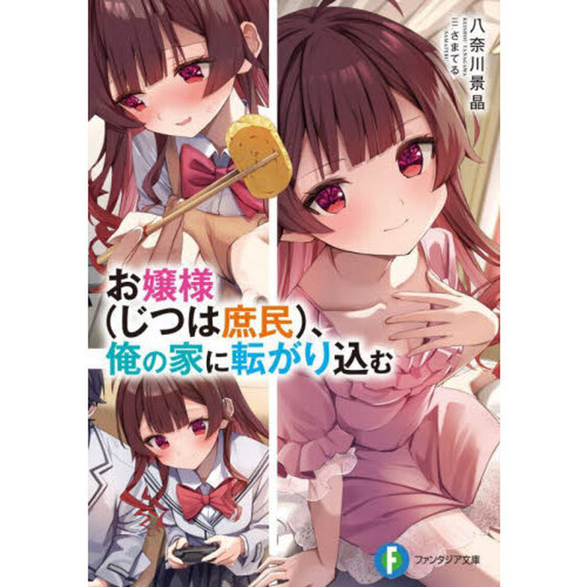お嬢様〈じつは庶民〉、俺の家に転がり込む