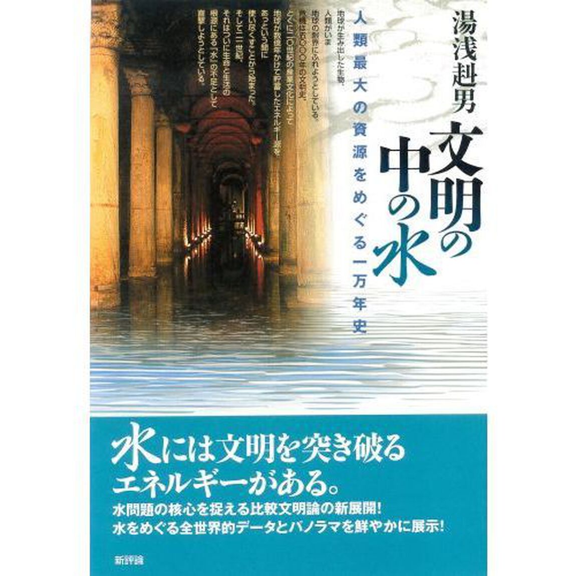 文明の中の水　人類最大の資源をめぐる一万年史