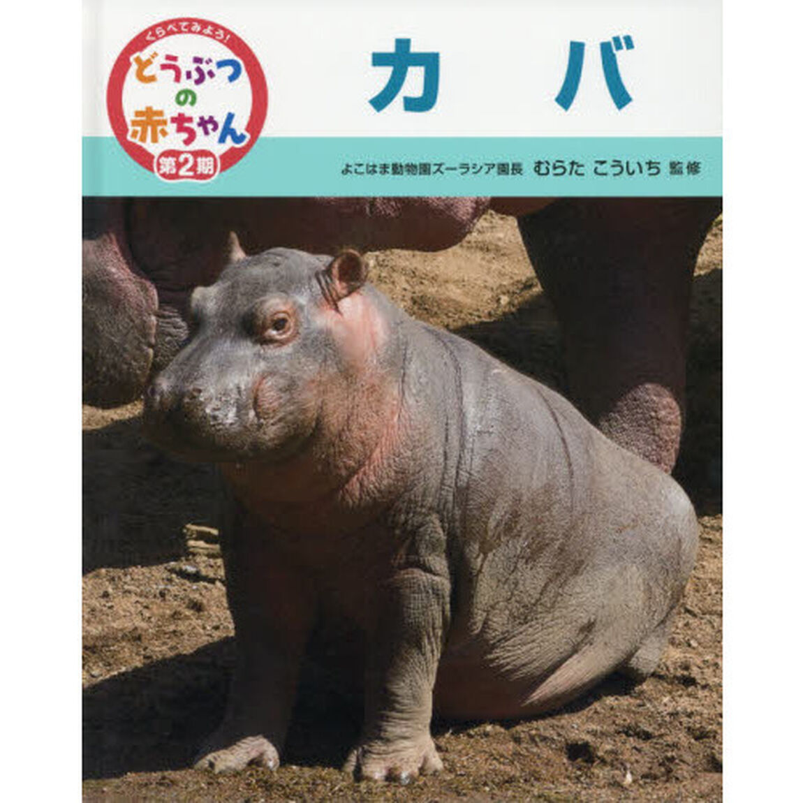 くらべてみよう！どうぶつの赤ちゃん　１８「カバ」