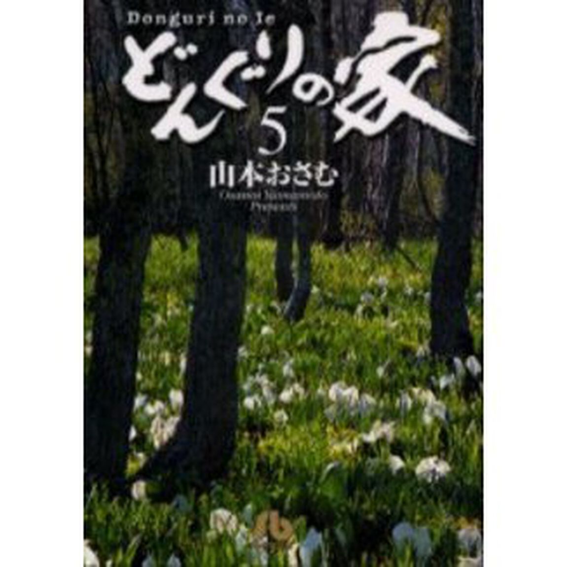 どんぐりの家　５