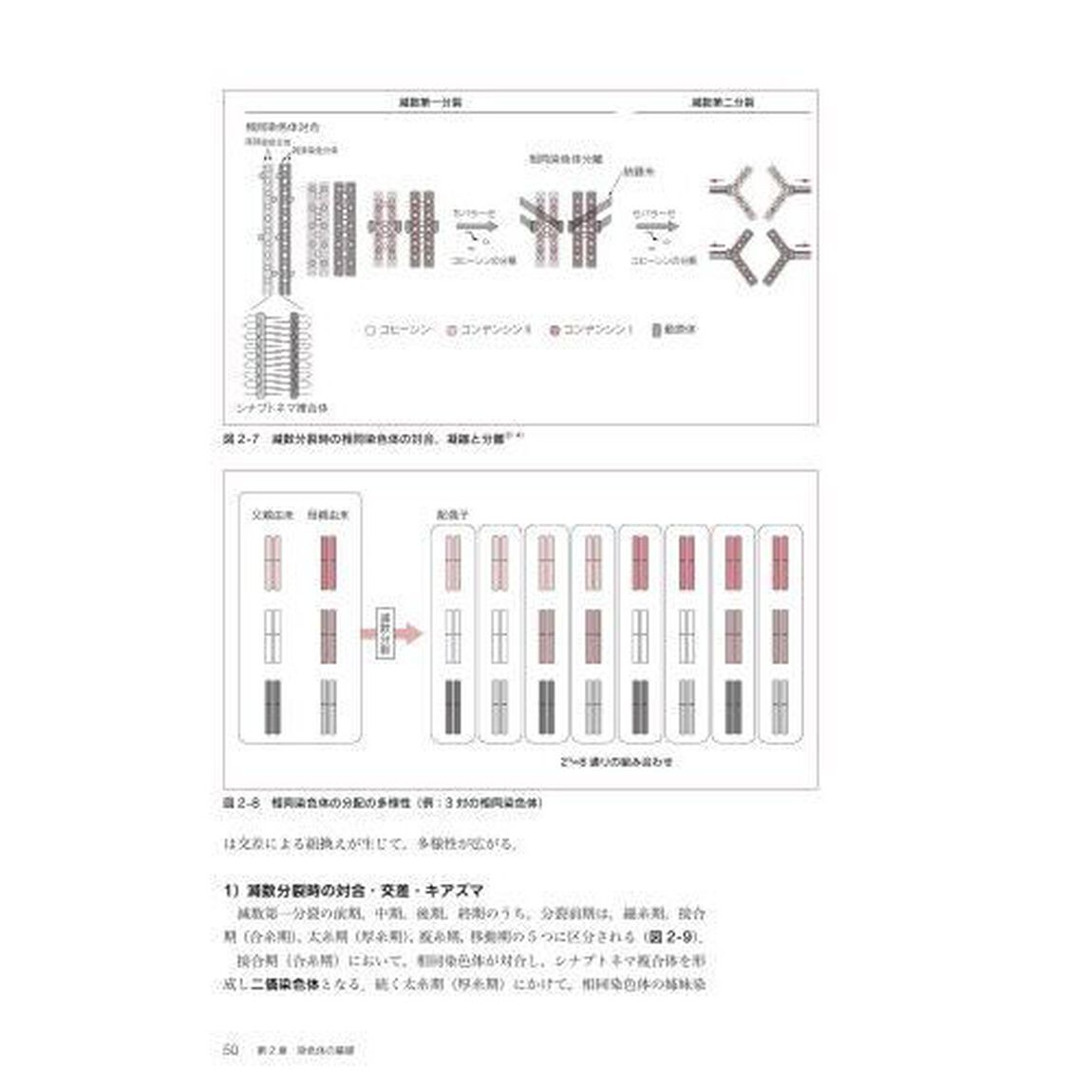 遺伝子関連・染色体検査学「第３版」
