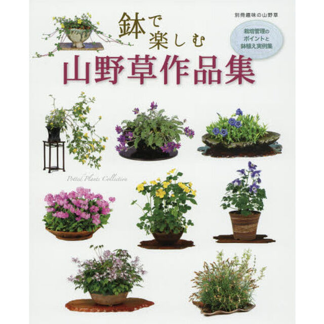 鉢で楽しむ山野草作品集　栽培管理のポイントと鉢植え実例集