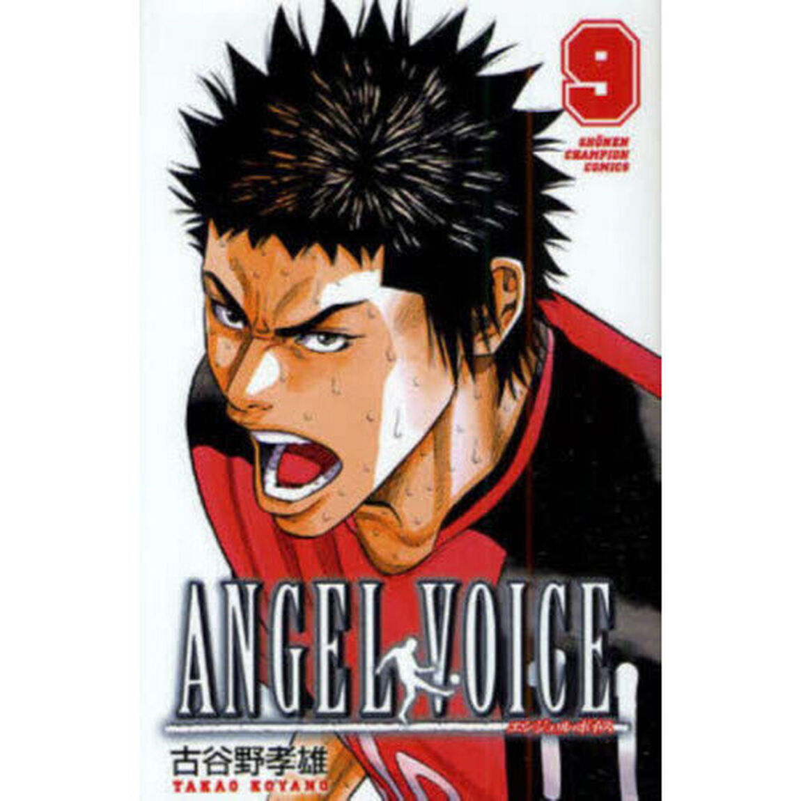 ＡＮＧＥＬ　ＶＯＩＣＥ　９