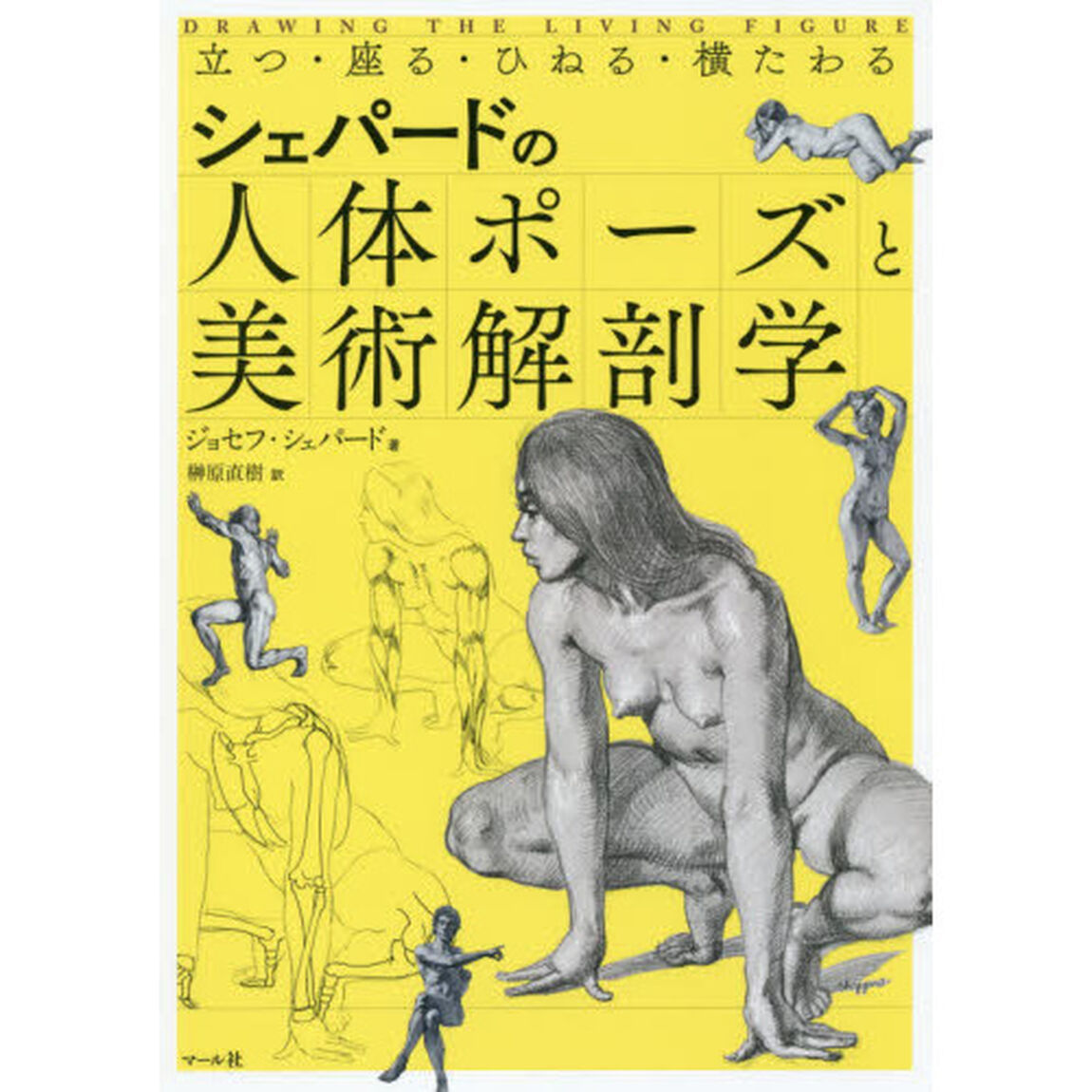 シェパードの人体ポーズと美術解剖学　立つ・座る・ひねる・横たわる