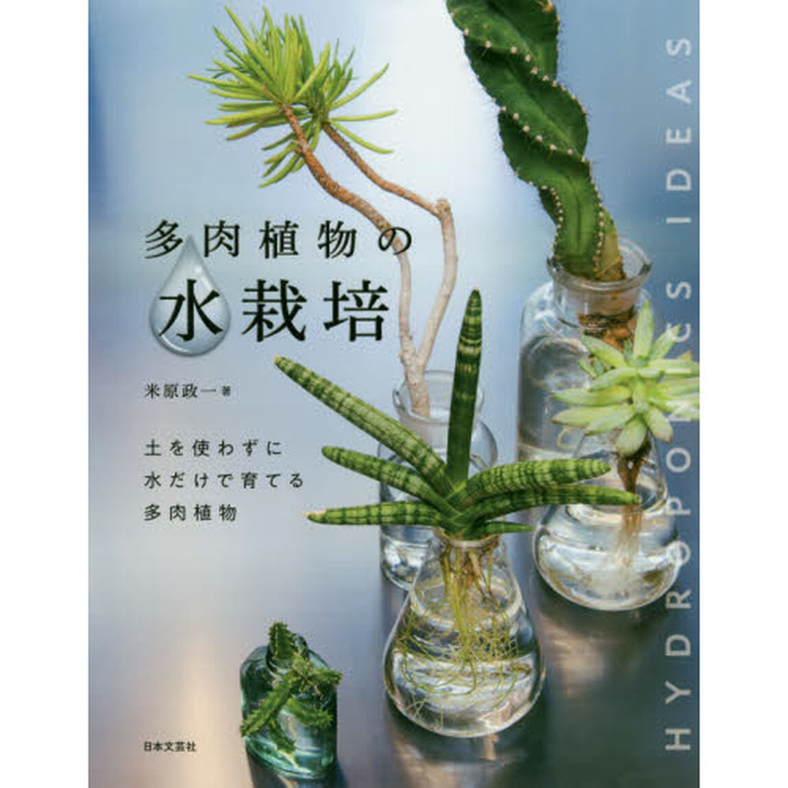 多肉植物の水栽培　土を使わずに水だけで育てる多肉植物