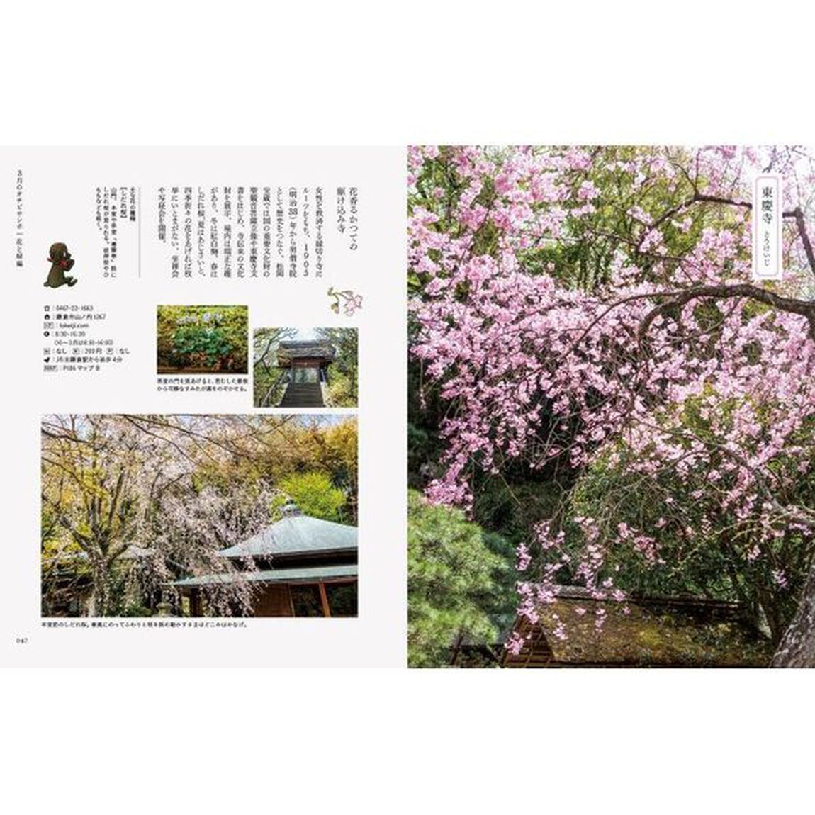 鎌倉オチビサンポ　花ごよみとめぐる旅