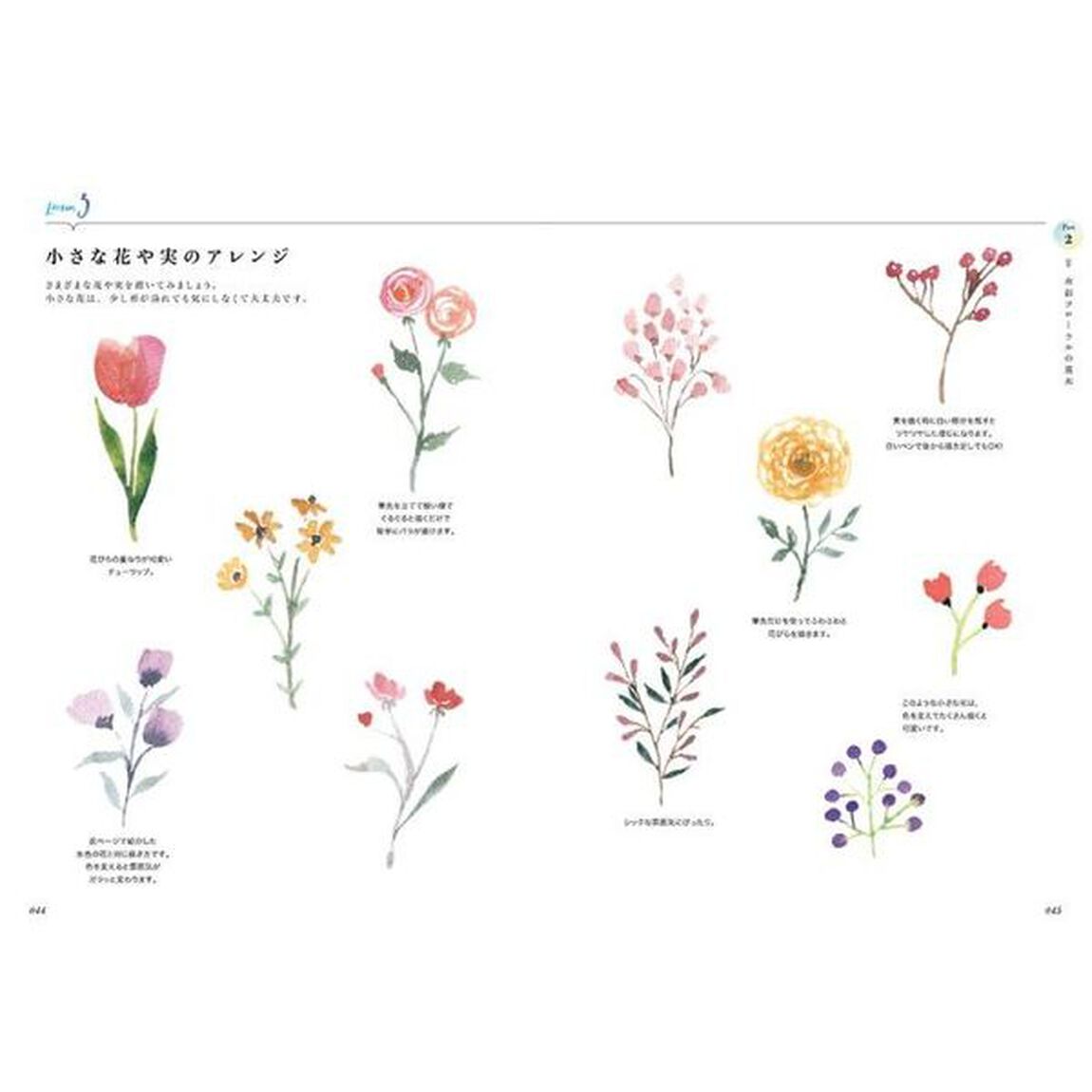 季節の花で彩るはじめての水彩レタリング