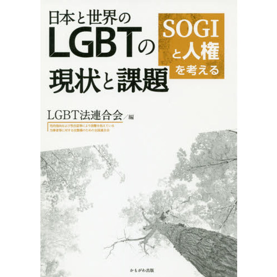 日本と世界のＬＧＢＴの現状と課題　ＳＯＧＩと人権を考える
