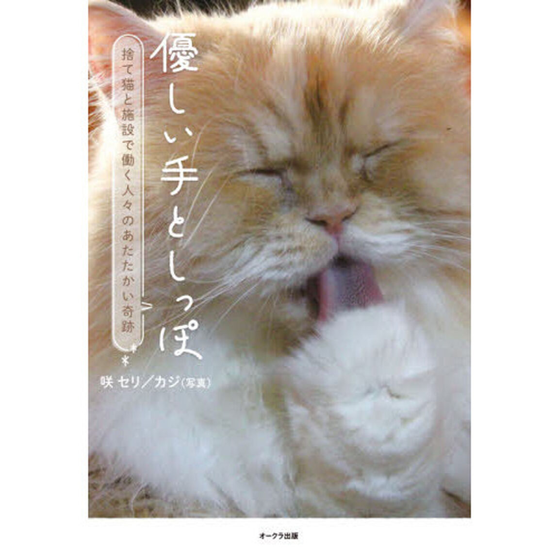 優しい手としっぽ　捨て猫と施設で働く人々のあたたかい奇跡