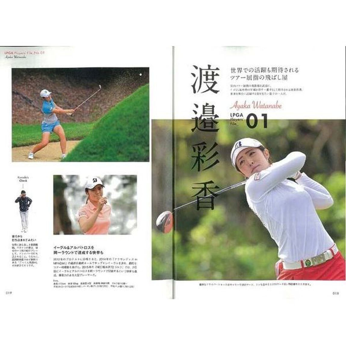 女子プロサポーターズＢＯＯＫ　この一冊で女子プロ通になれる！　イボミ、渡邉彩香、藤田光里、香妻琴乃ら人気選手が総登場！