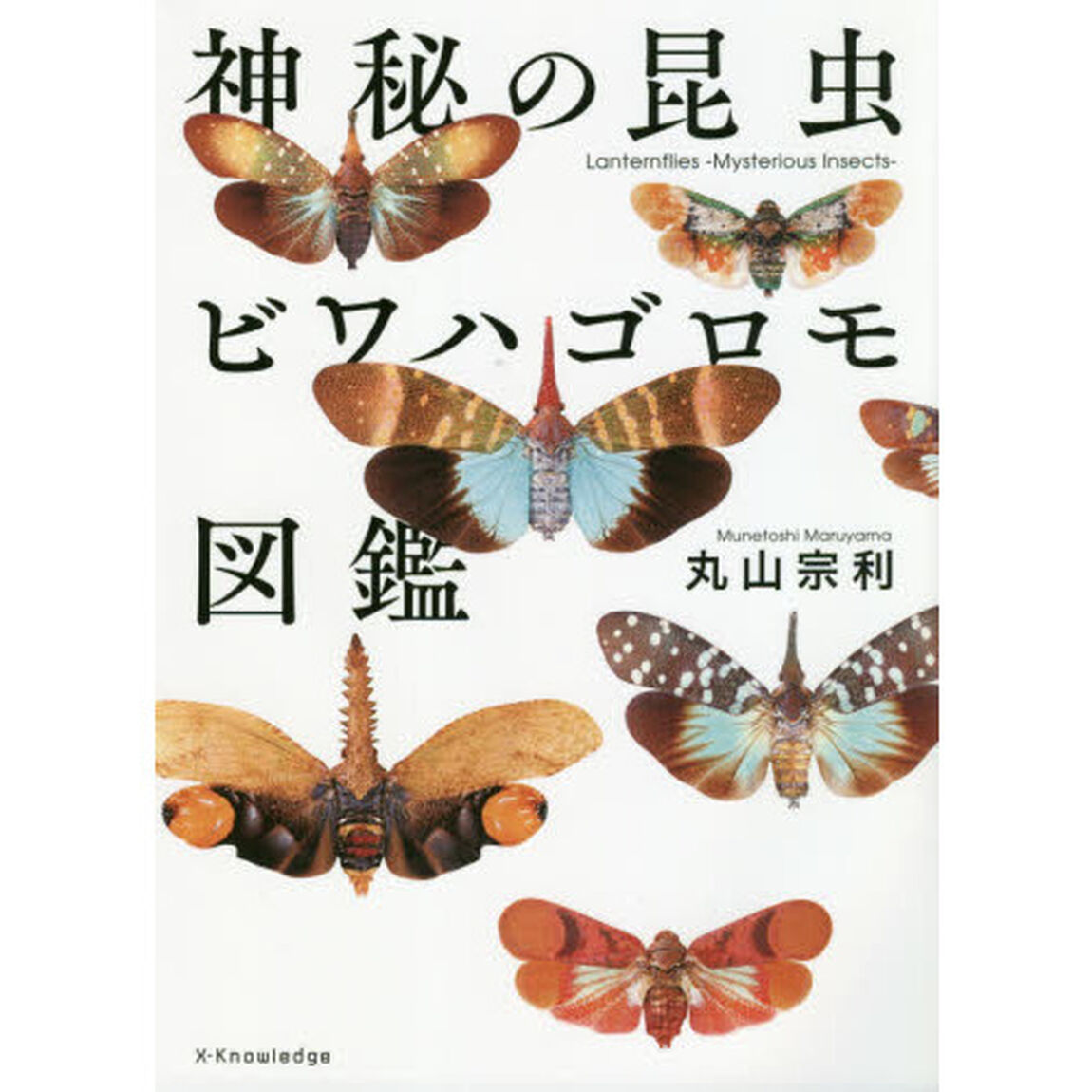 神秘の昆虫ビワハゴロモ図鑑