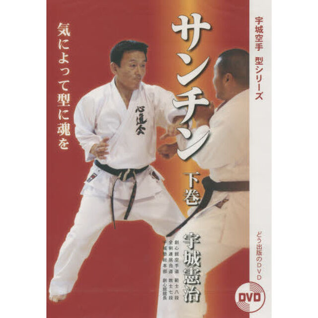 ＤＶＤ　サンチン　下