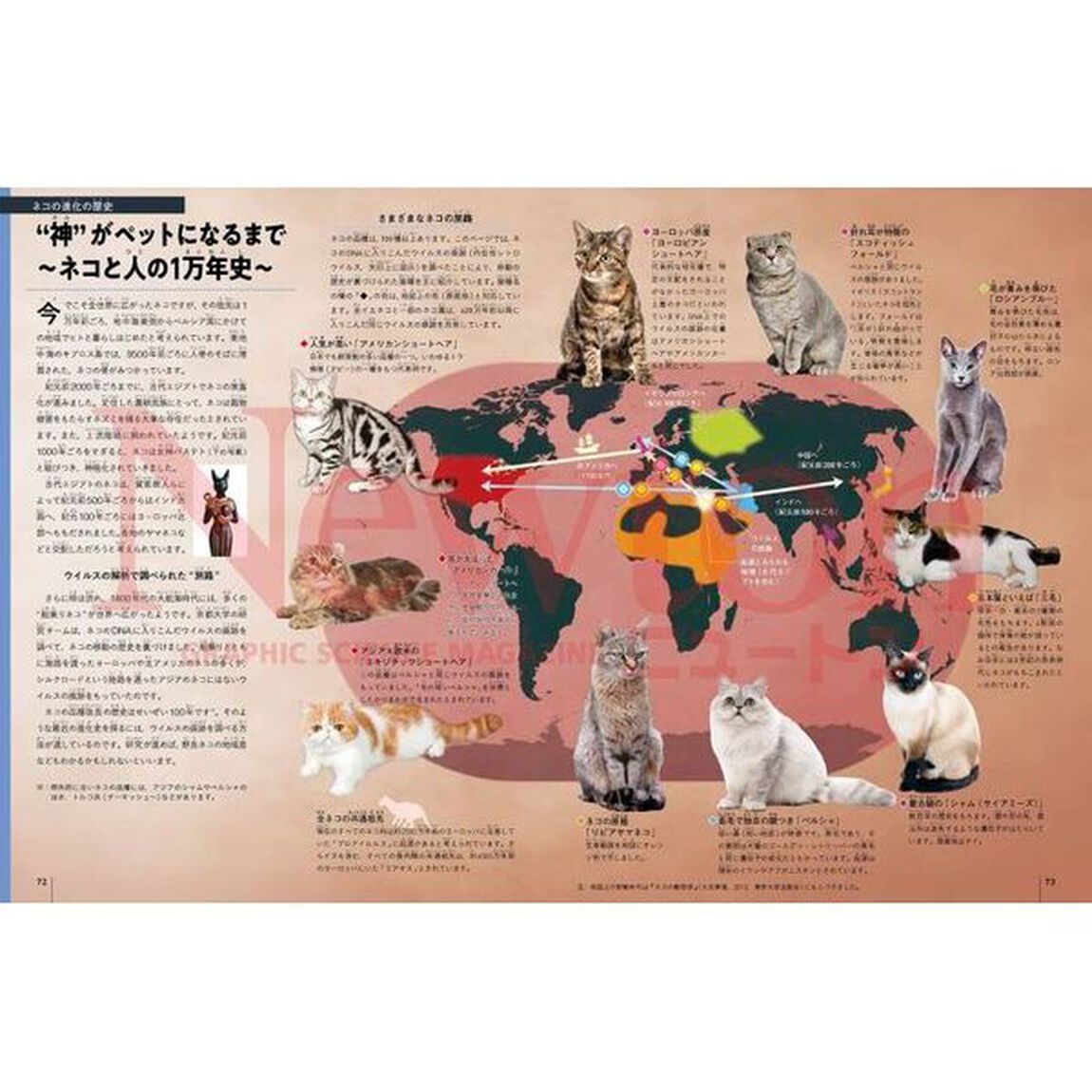 哺乳類ビジュアル大事典　多種多様に進化して、大繁栄した動物たち