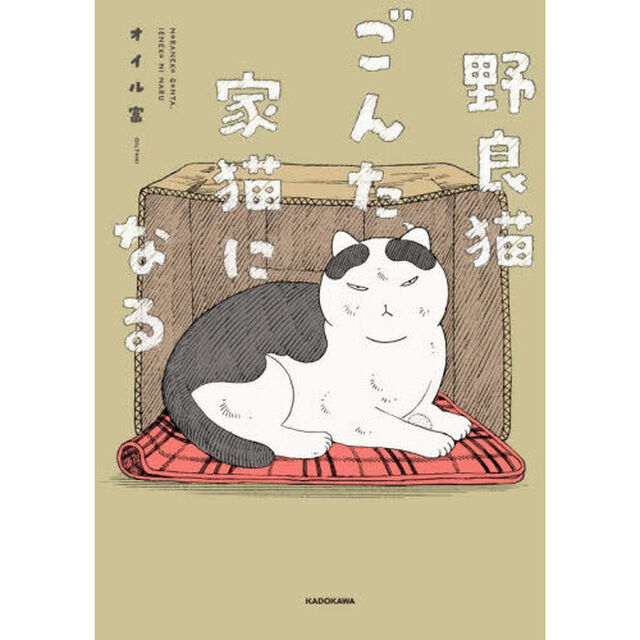 野良猫ごんた、家猫になる